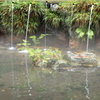 雨あがり・・