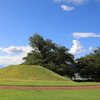 夏の公園