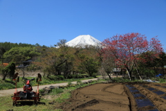 農村の春