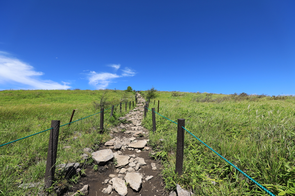 蝶蝶深山への谷筋道