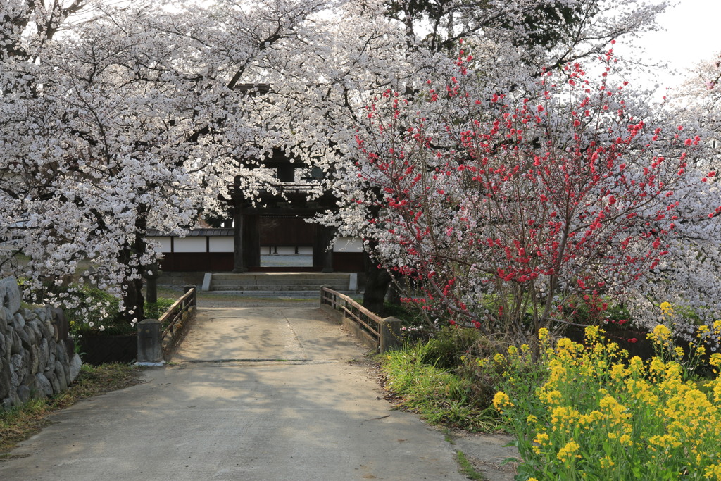 慈眼寺・1