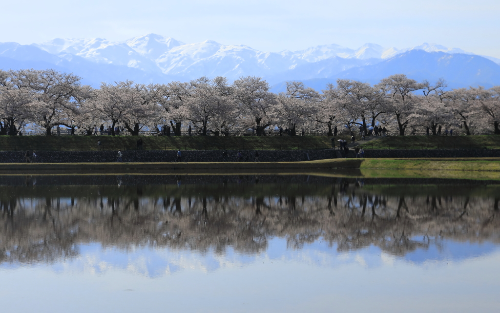 船川べり