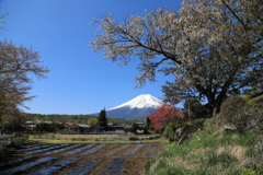 野菜植え付け準備