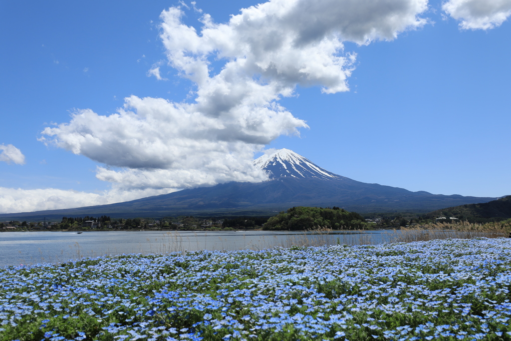 大石公園・Ⅰ