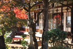 茶など一服