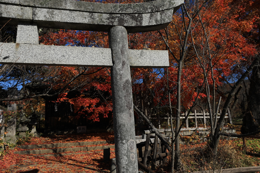 新城・藤原神社鳥居