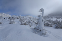 雪と風の芸術・Ⅴ