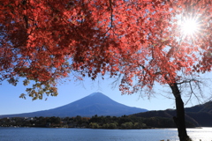 河口湖北岸より富士