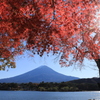 河口湖北岸より富士