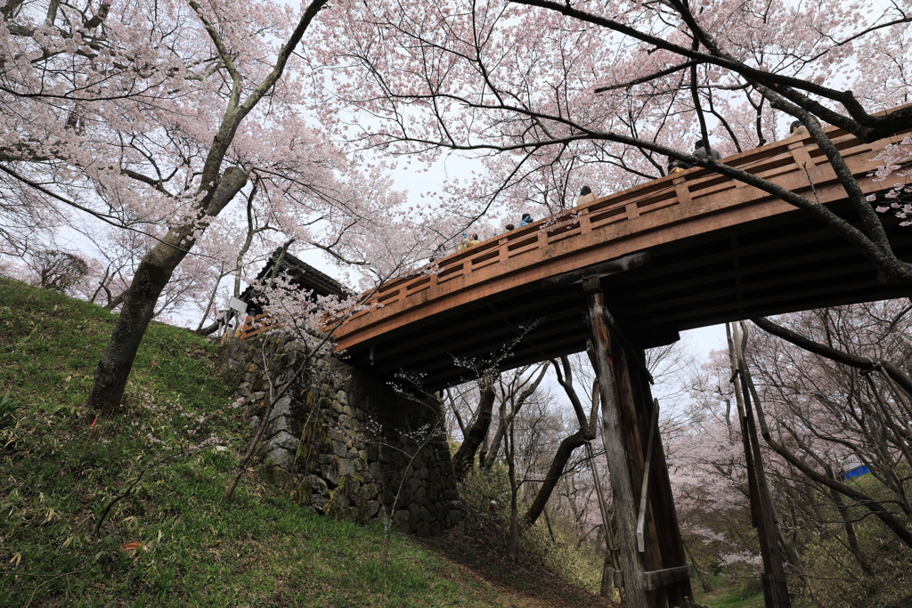 高遠城址公園・Ⅰ