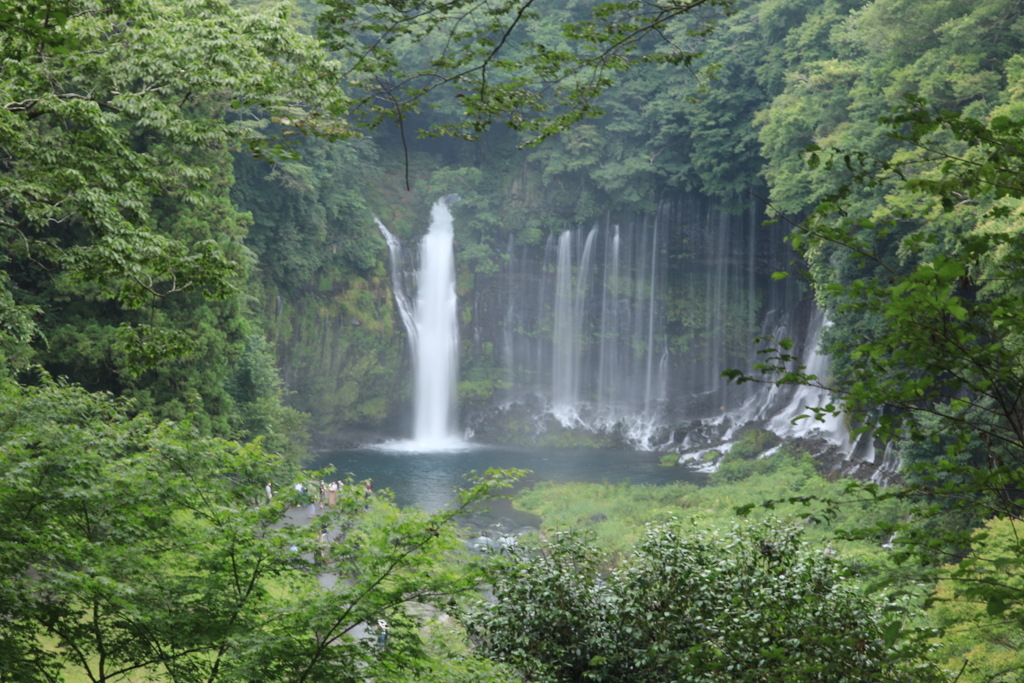 白糸の滝(緑額）