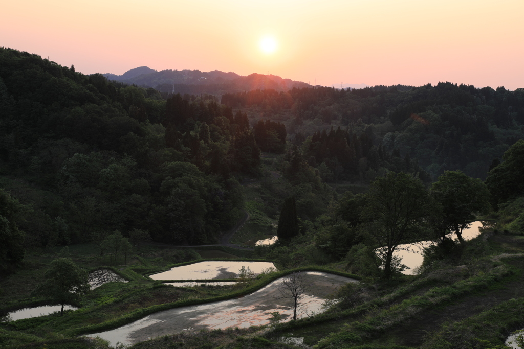 朝日の棚田