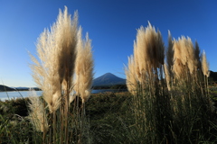 秋日和