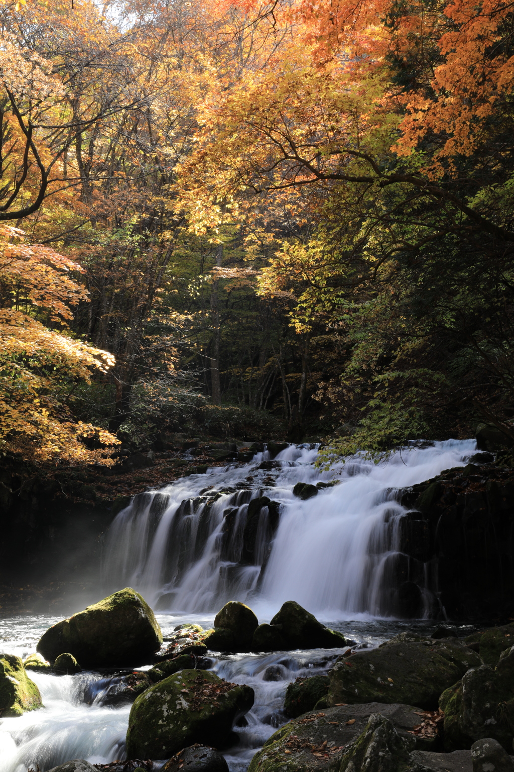 晩秋の大滝