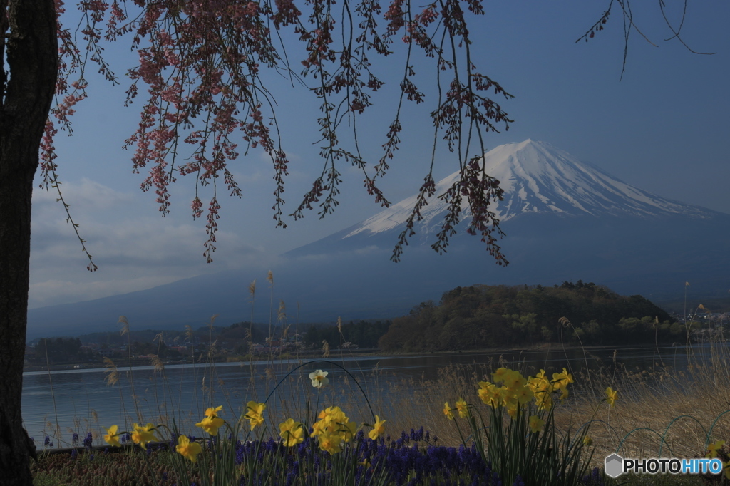 ザ・・日本！Ⅳ