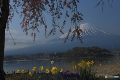 ザ・・日本！Ⅳ