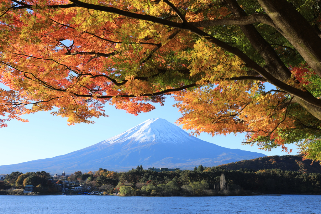 富士と紅葉