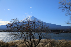 残り柿