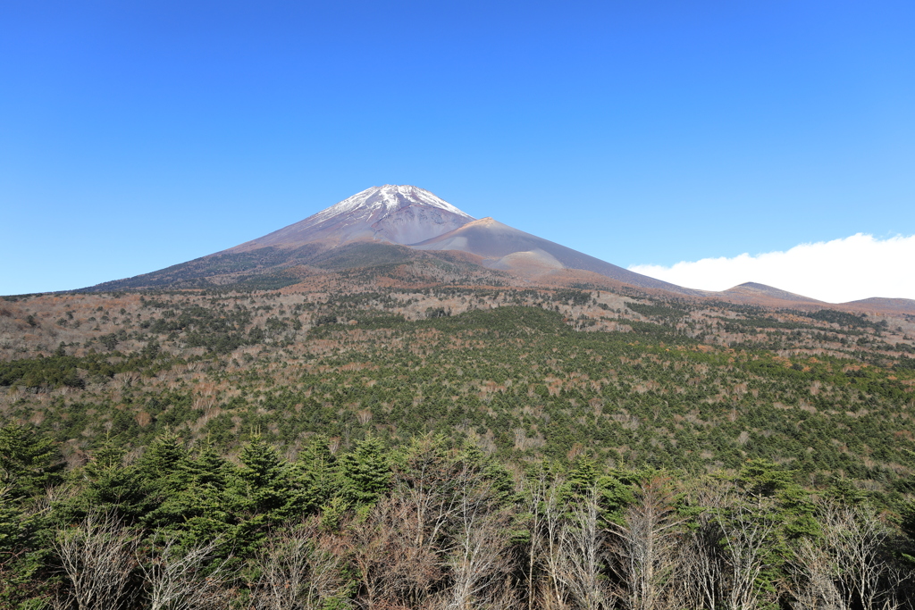 水ヶ塚公園より富士を望む