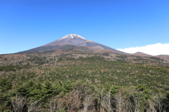 水ヶ塚公園より富士を望む