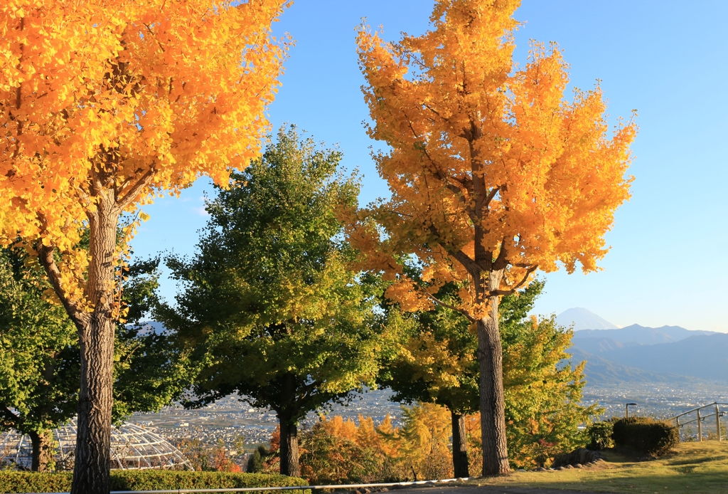 西日に照らされ・・