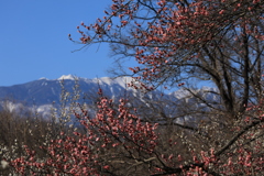 鳳凰三山を背に