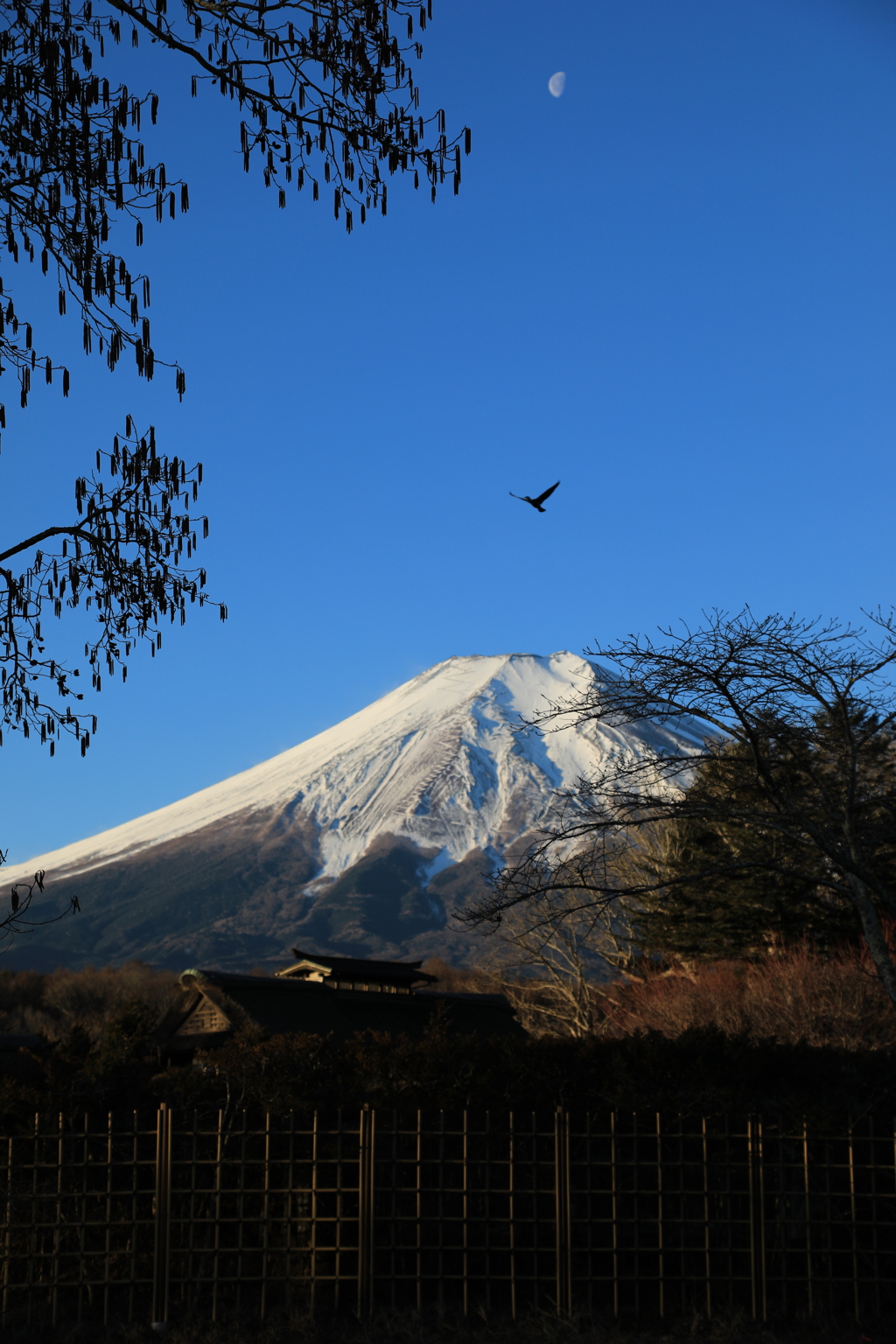 月・鳥・富士・茅葺屋根