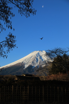 月・鳥・富士・茅葺屋根