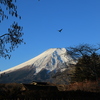 月・鳥・富士・茅葺屋根