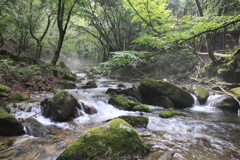 里山の渓谷
