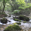 里山の渓谷