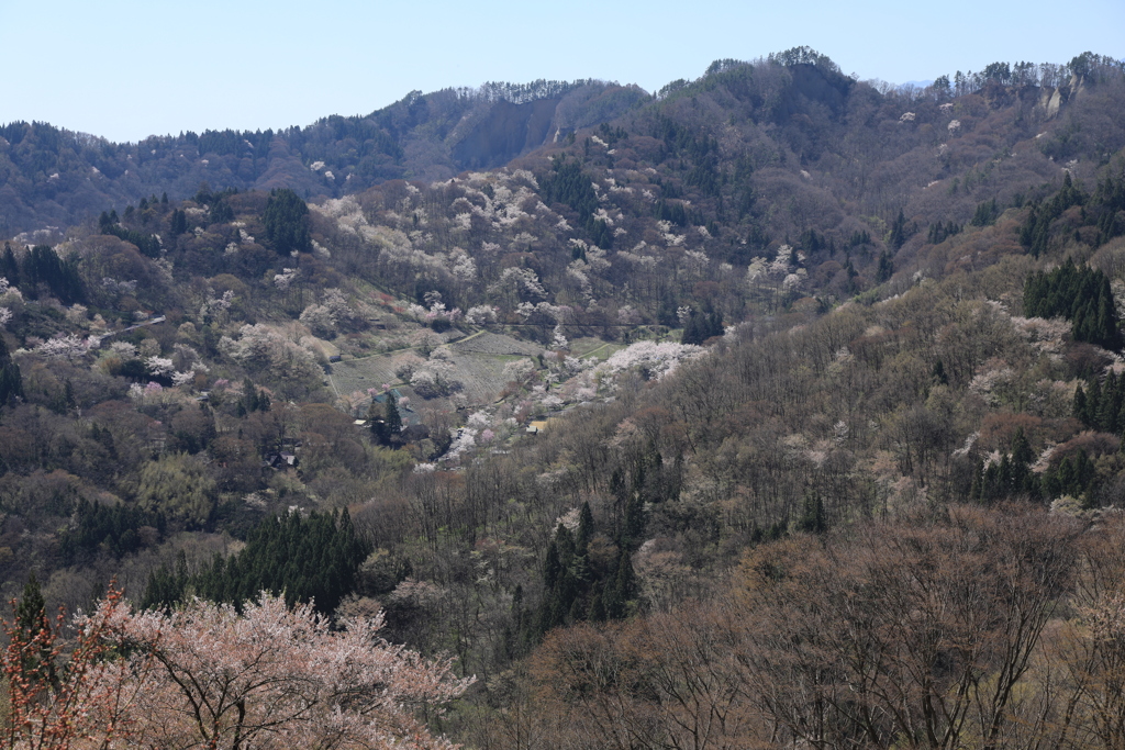 桜仙峡