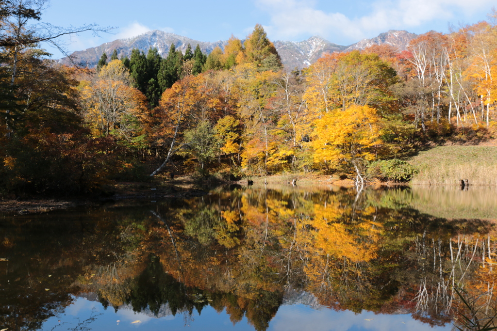 天池（鳥甲山を背に）