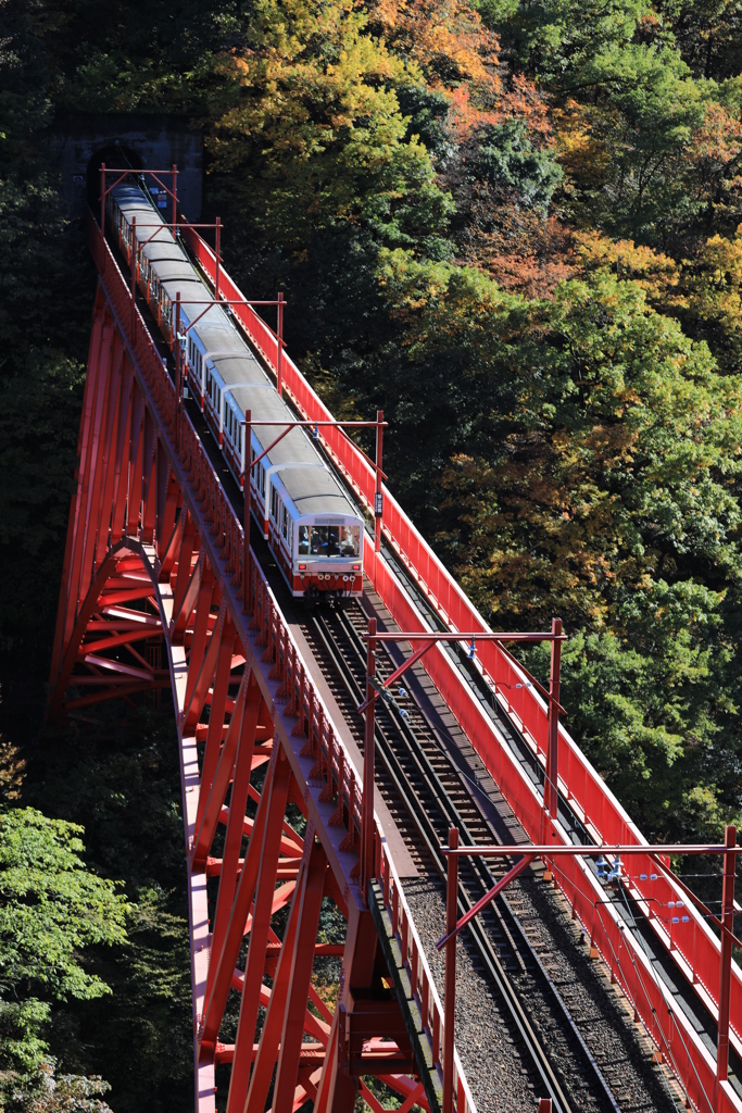 トロッコ電車・1