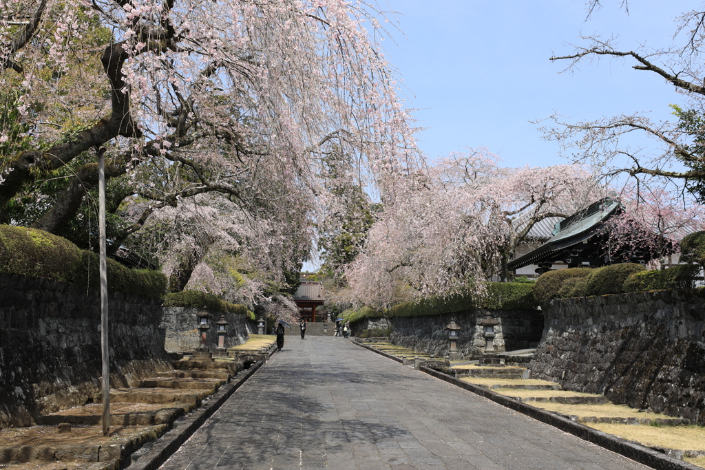 石畳の参道