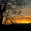 今日の夕焼け