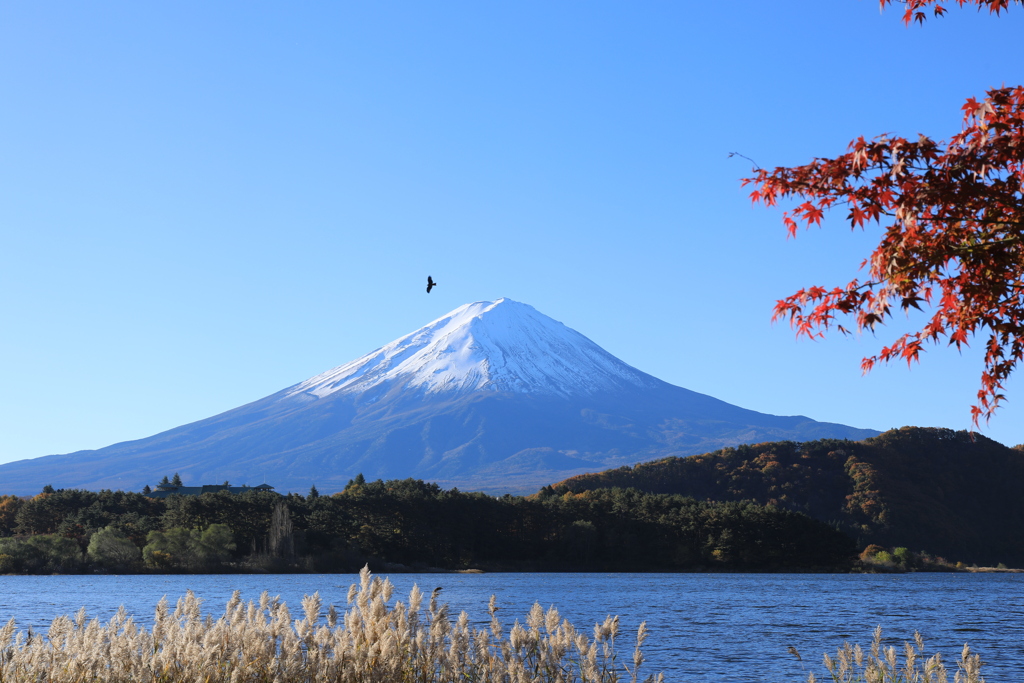 一富士　二鷹　三紅葉