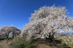 黒沢川・4