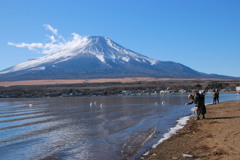 山中湖・湖畔散歩