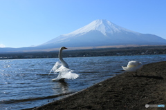 富士に向かって・・・2