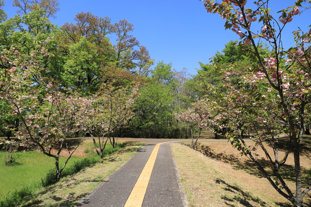 春の公園Ⅰ