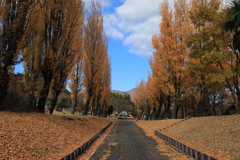 晩秋の公園