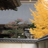 恵林寺境内