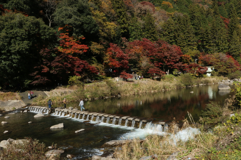 巴川