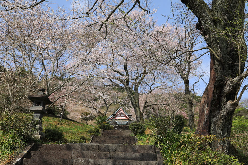 興徳寺