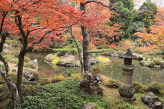 奥の院「庭園」