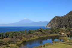 伊豆半島富士景色（明神池）