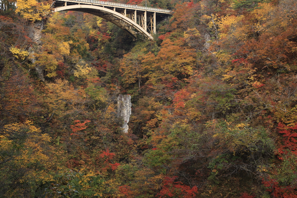 鳴子峡（大深沢橋）