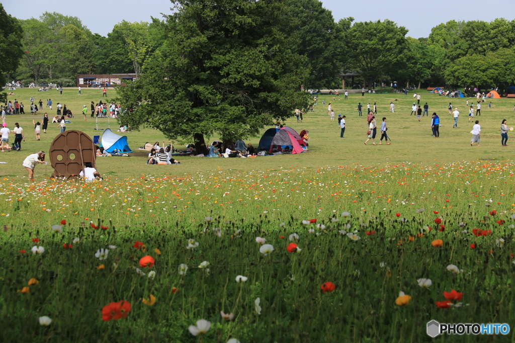 午後の一時・・・・