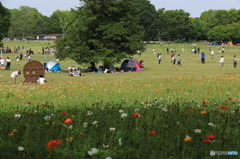 午後の一時・・・・